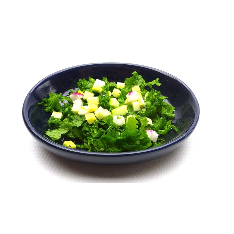 Carolina Reptile Veggie Chopper