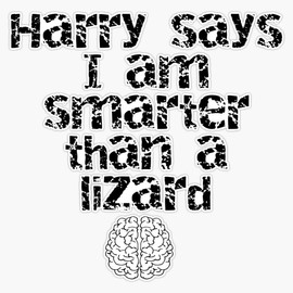 Resident Alien - Smarter Than A Lizard Vinyl Window Bumper Sticker Decal 5"