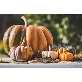 Rompecabezas De Madera Adulto De 1000 Piezas,Fruta De Calabaza Rompecabezas Difícil Duro Rompecabezas Grande Rompecabezas Cartón Premium Diy...       