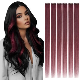 Rich Choices Clip in Hair Extensions Human Hair #99J Burgundy Remy Hair Extensions Clip in 6Pcs Straight Highlights Real Hair (44g 20 Inch)