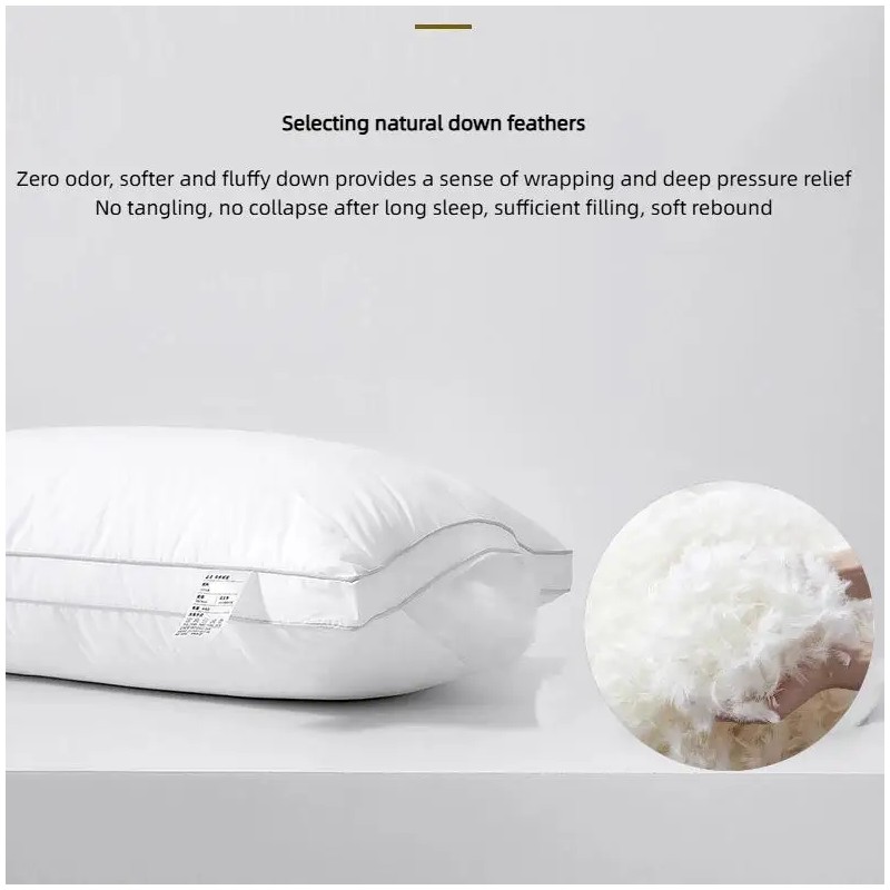Overseas Stock Different Size Sleeping Pillow 40% White Goose Feather