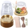 Whaline 150 Sets Disposable Individual Charcuterie Cup Set Clear Plastic