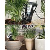 LIVLIG Irrigation with PET Bottle, Raised Bed Irrigation, Irrigation System