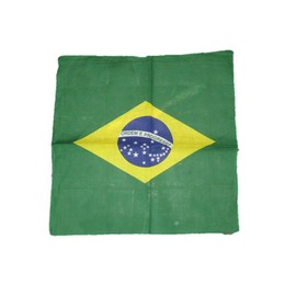 AES 22x22 Inch Brazil Brazillian Ordem E Progresso Flag Bandana