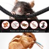 Glaobule Mouse Repellent Battery Operated Electronic Rodent Repellent for Car