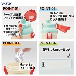 Skater PSB5SANAG-A Water Bottle, 16.9 fl oz (480 ml), For Kids, Antibacterial, Plastic, Kid-friendly Lightweight, Made in Japan