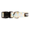Downtown Pet Supply - Best & Fancy Dog Collar -