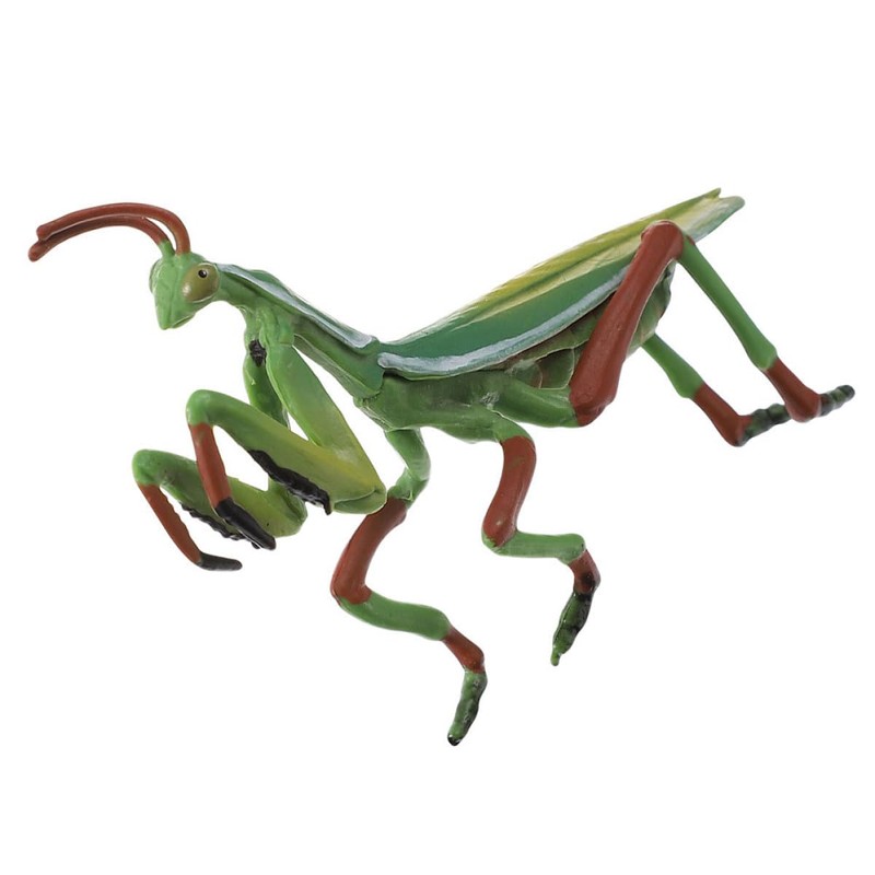 GOOHOCHY Mantis Figurine Plastic Mantis Model Realistic Model Kids Toy