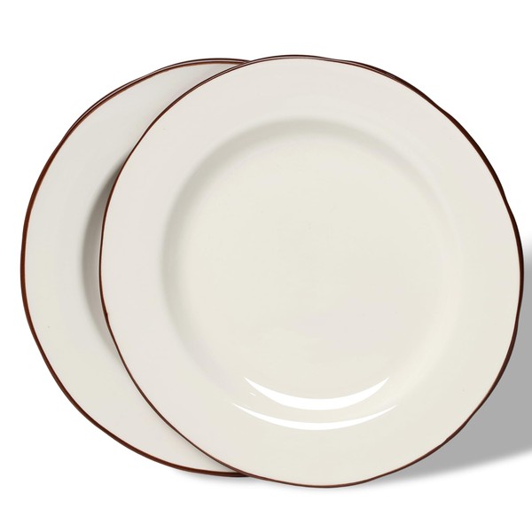 ONTUBE Ceramic Dinner Plates Set of 2, Round Plates Set,