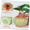 Gatuida Fruit Shaped Ceramic Vase for Dining Table Hydroponic Plant