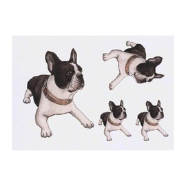 4 x 'French Bulldog' Temporary Tattoos - Water Resistant, Skin-Safe, Non-Toxic Transfers, Mixed Sizes (TO00014847)