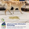 Bissell Pet Pro Stain and Odor Eliminator with Enzyme Action,