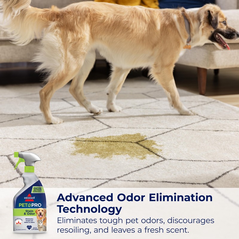 Bissell Pet Pro Stain and Odor Eliminator with Enzyme Action,