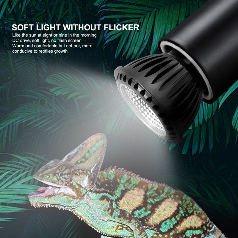 Turtle Basking Light Bulb UVA UVB Concave and Convex Mirror