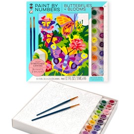 Bright Stripes Paint by Number Kit for Kids: Easy to Follow Paint by Numbers Canvas with Frame Kids Paint Kit (Paint by Numbers Butterflies + Blooms)