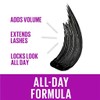 Maybelline The Falsies Lash Lift Mascara Blackest Black
