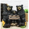 Papa Mama Black Bears and Cub Sitting On Log with