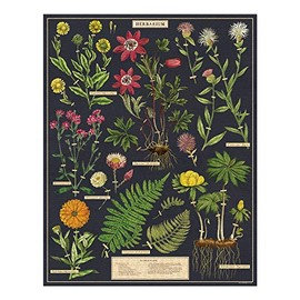 Herbarium 1,000 Piece Puzzle
