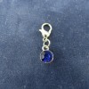 Pemby Studio SEPTEMBER Birthstone Crystal Charm Zipper Pull Keychain Add
