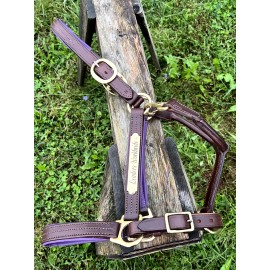 Leaders 1" Leather Halter Full/Horse Size Halter with Pink or Purple padding - Horse Size Black/Pink WITH Nameplate