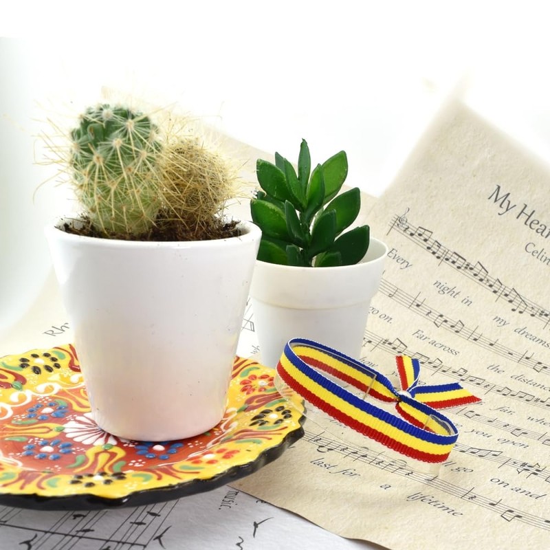 BDM Romanian Flag Romanian Bracelet Danube Adjustable for Men Women