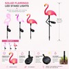 Solar Flamingo Garden Lights for Outdoor Pathway Decor – Waterproof