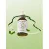 Pantothenic Water Parsley Ampoule 50ml / 판토테닉 워터파슬리 앰플 50ml