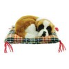 Napping Sleeping Puppy on Pillow Collectible Figure, 4-inch, (1-pc Random)