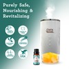 GuruNanda Rosemary Essential Oil - 100% Pure & Natural, Undiluted,