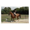 Men's gooseneck spurs 40 mm spurs with gooseneck