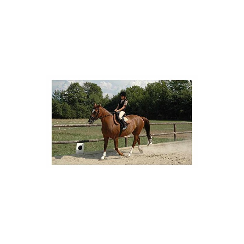Men's gooseneck spurs 40 mm spurs with gooseneck