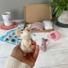 Bergin & Bath Needle Felting Kit, Mice. DIY Craft kit