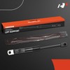 A-Premium Rear Center Luggage Lid Lift Supports Shock Struts Compatible
