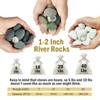 FANTIAN 20 lbs River Rocks for Plants, 1-2 Inch Decorative