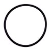 Pentair 355331 Diffuser O-Ring Replacement Specialty and Swimming Pool Inground