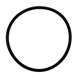 Pentair 355331 Diffuser O-Ring Replacement Specialty and Swimming Pool Inground Pump