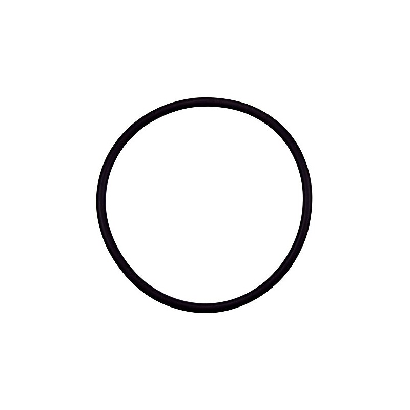 Pentair 355331 Diffuser O-Ring Replacement Specialty and Swimming Pool Inground
