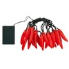 Lights4fun 20er LED Chilli Lichterkette rot batteriebetrieben Chilli Geschenkset Chilli