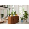 elho B.for Original Round 14 - Flower Pot for Indoor