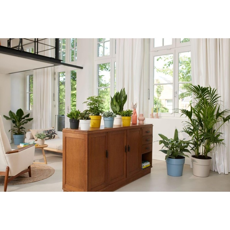 elho B.for Original Round 14 - Flower Pot for Indoor