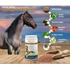 V-POINT - Laminitis Ease - hoof Supplements for Horses -