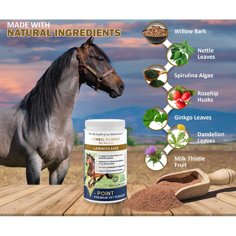 V-POINT - Laminitis Ease - hoof Supplements for Horses -