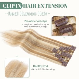 Rich Choices Clip in Hair Extensions Real Human Hair Golden Brown mix Bleach Blonde 12 Inch Remy Hair Extensions Clip in, 8PCS 55g Thin Weft