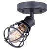 CANARM ICW611A01GPH Otto 1 Light Ceiling/Wall Graphite with Metal Cage