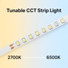 YI LIGHTING 16.4ft 24V Tunable White Tape Light Kit with