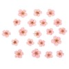 PATIKIL Dried Pressed Flower, 60 Pcs for Resin DIY Crafts