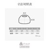 Final (ファイナル) TWS Earphone Earpiece (TYPE E Exclusively for Completely