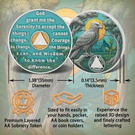 Leafence Eagle AA Sobriety Coin Alcoholics Anonymous Recovery Coin Serenity Prayer AA Chips and Medallions Sober Token Sobriety Recovery Coins Gifts (Soaring Eagle Sobriety Coin, 1 Year)