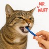Cepillo Dientes Para Perro Gato 3 Pzas Doble Cabezal Mr