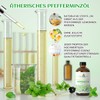 EVOKE OCCU Pfefferminz ätherisches Öl 118ml, reines Pfefferminzöl für Haut
